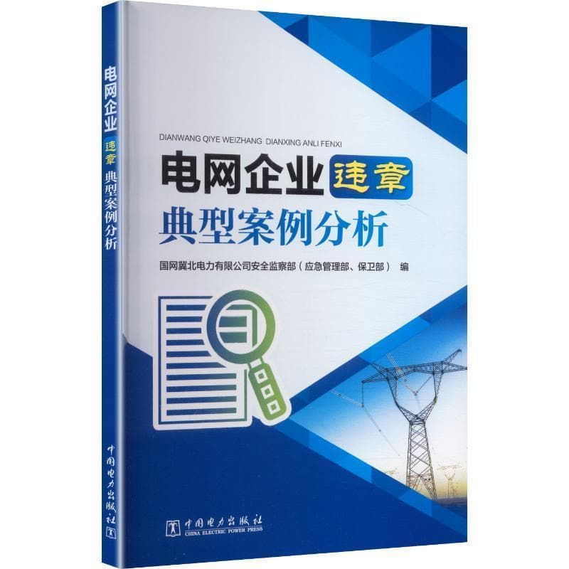 电网企业违章典型案例分析