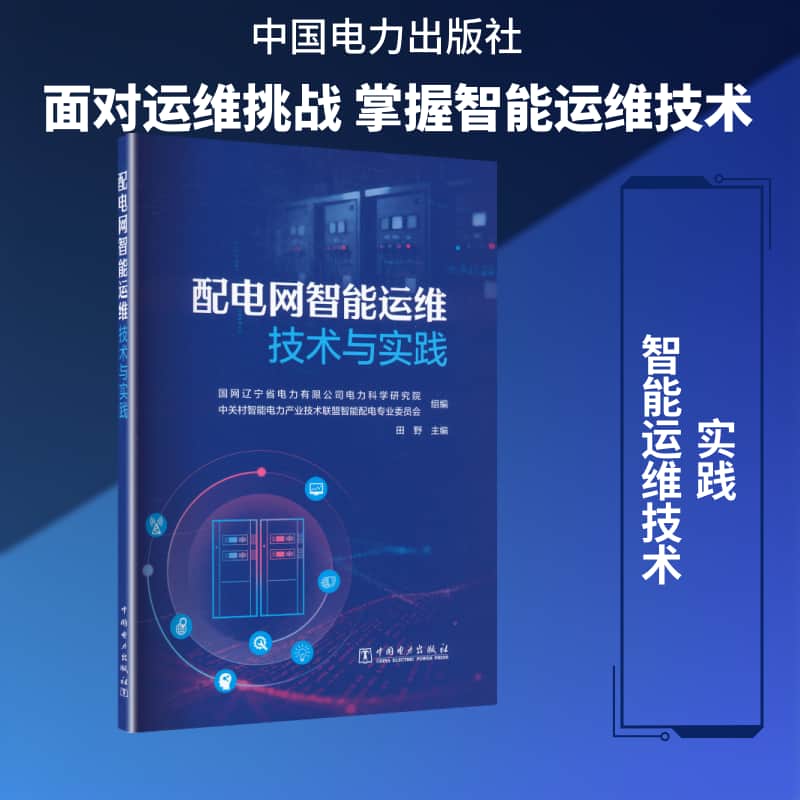 配电网智能运维技术与实践