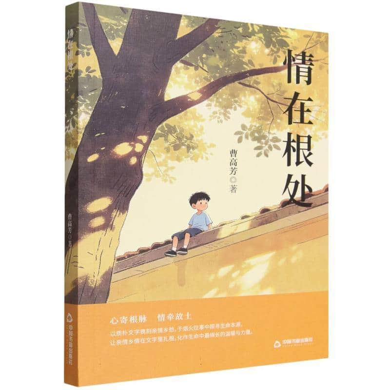 情在根处