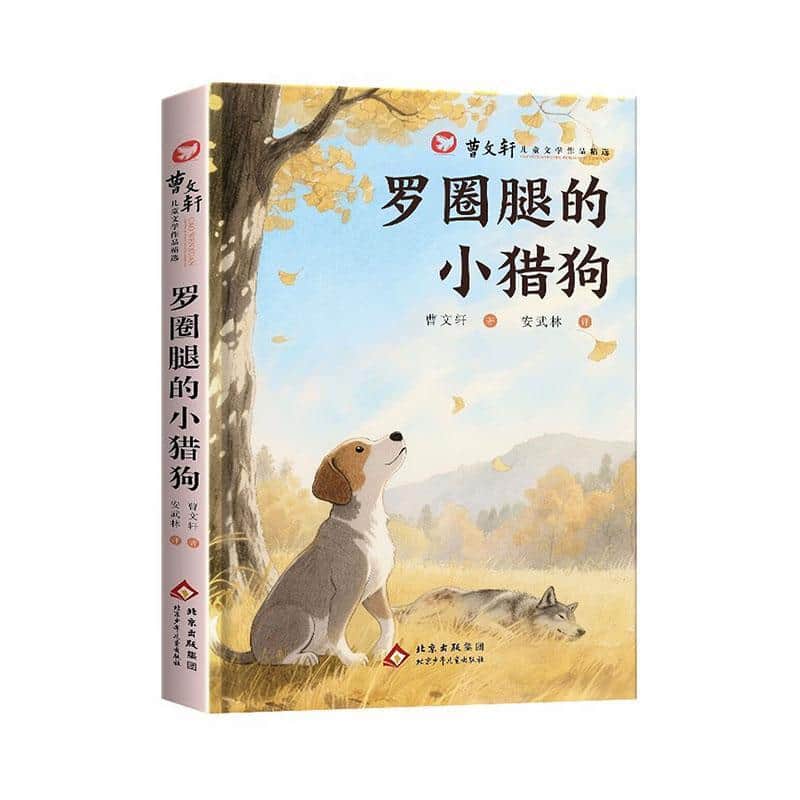 罗圈腿的小猎狗
