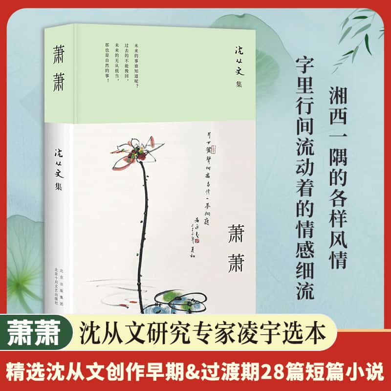 萧萧