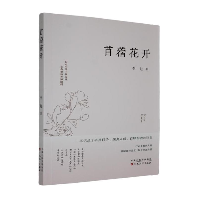 苜蓿花开