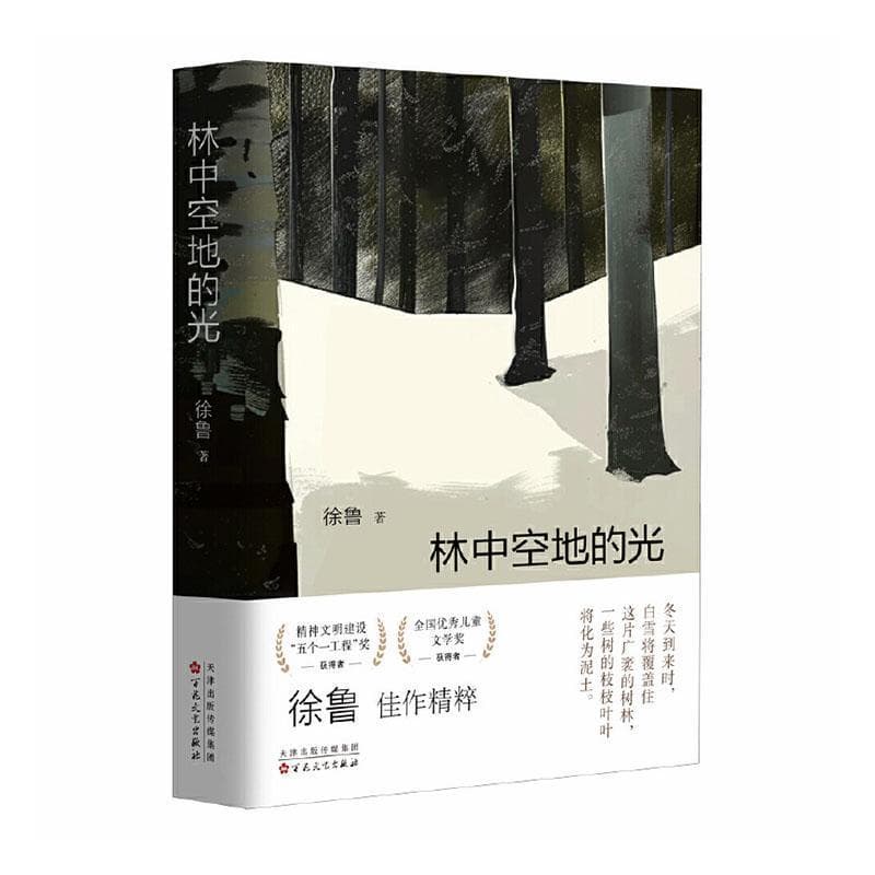 林中空地的光