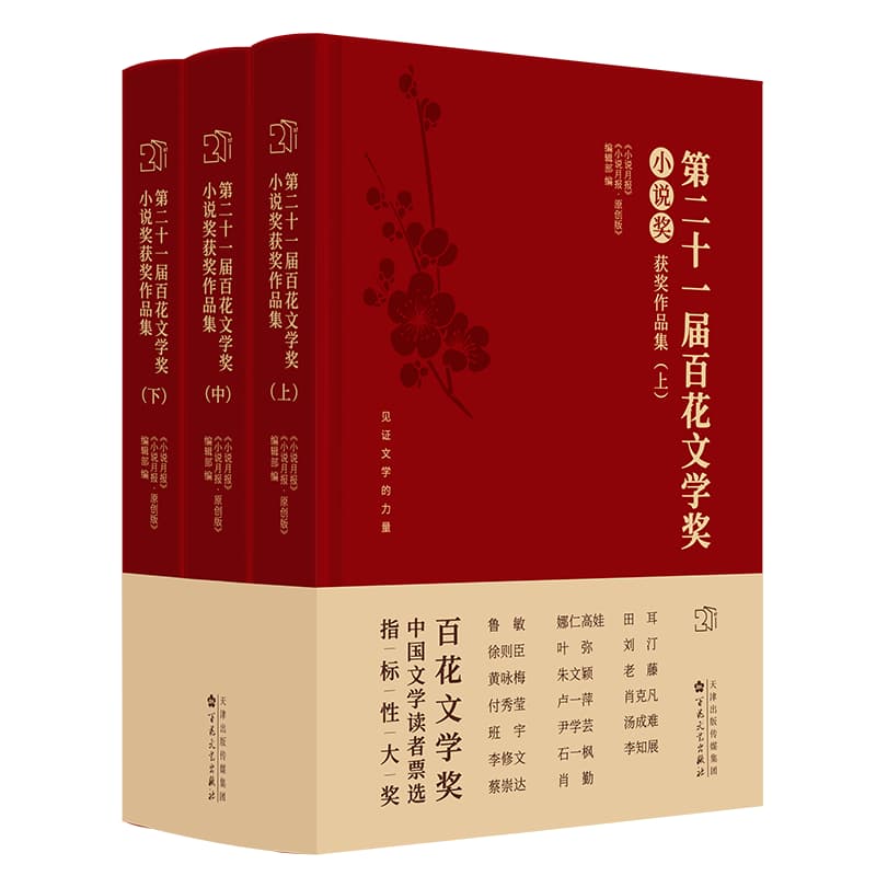 第二十一届百花文学奖:小说奖获奖作品集
