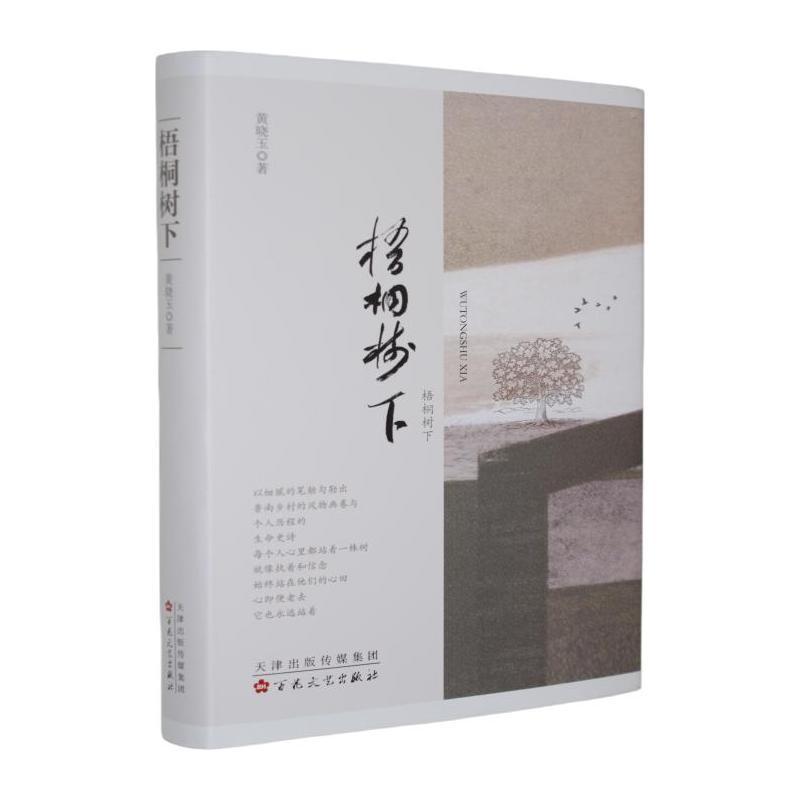梧桐树下