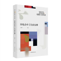 闪电击中了自由女神—2022年短篇小说年选