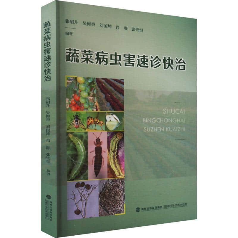 蔬菜病虫害速诊快治