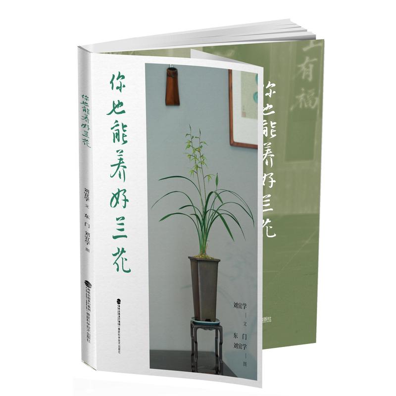 你也能养好兰花