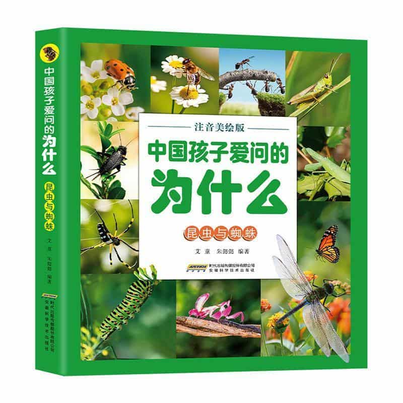 昆虫与蜘蛛