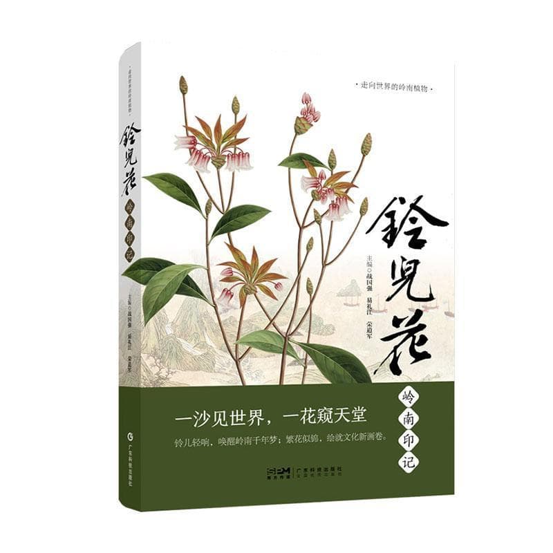 铃儿花岭南印记