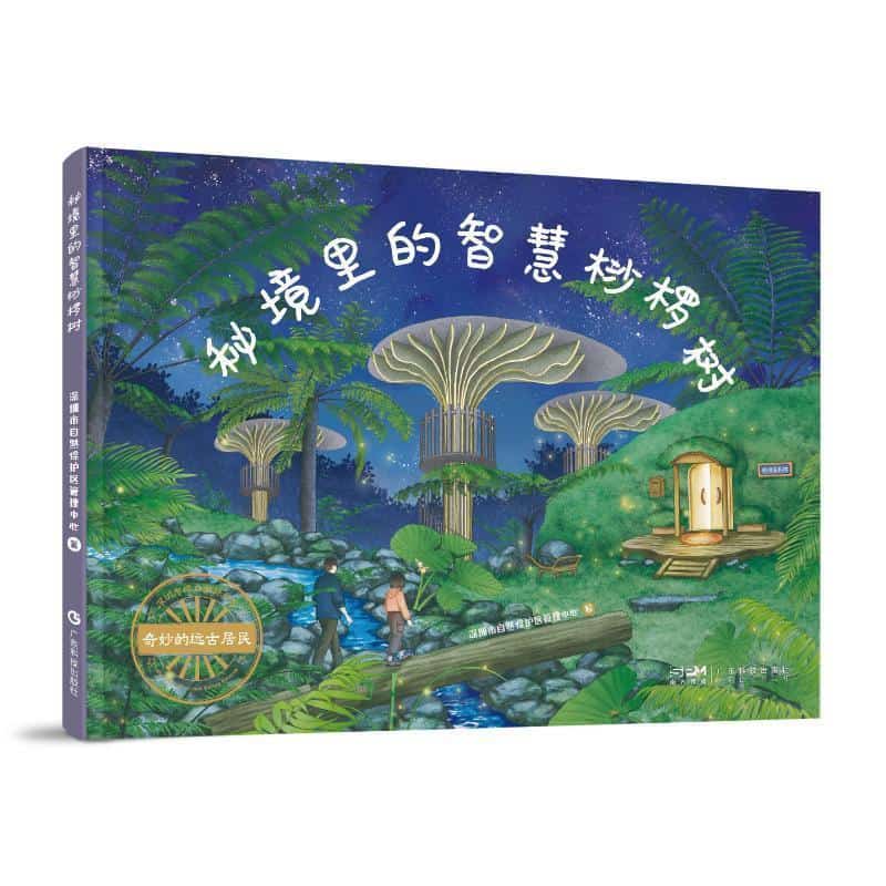 秘境里的智慧桫椤树