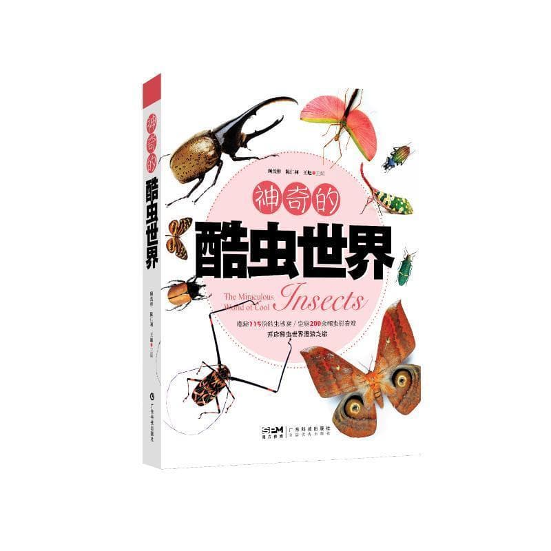 神奇的酷虫世界