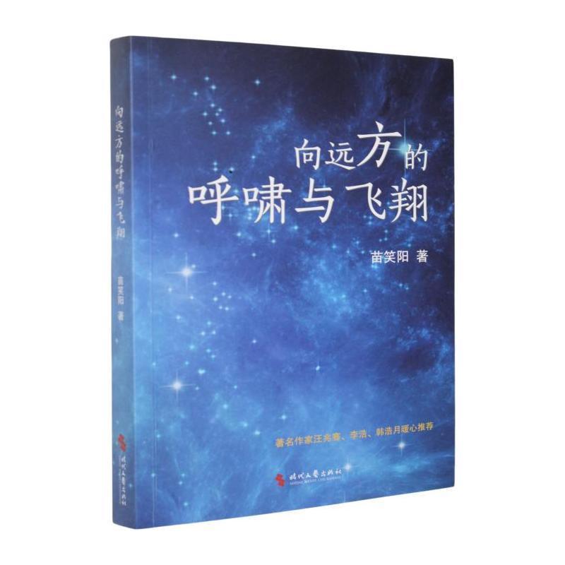 向远方的呼啸与飞翔