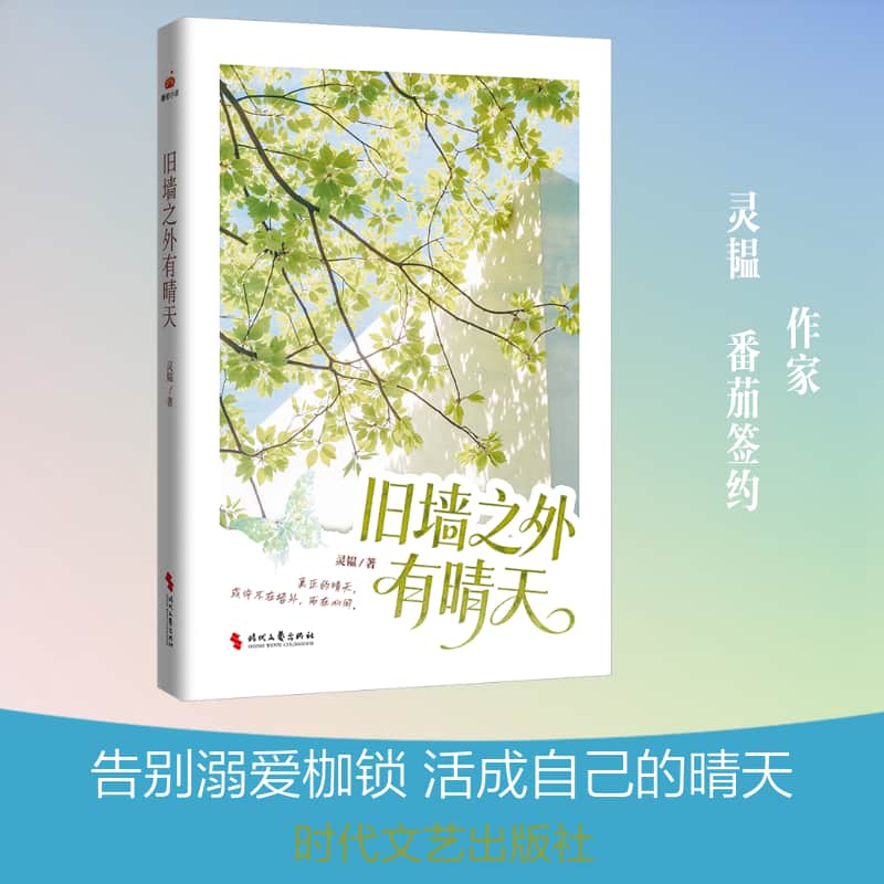 旧墙之外有晴天