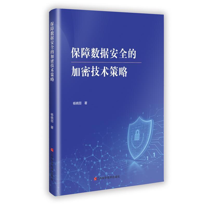 保障数据安全的加密技术策略