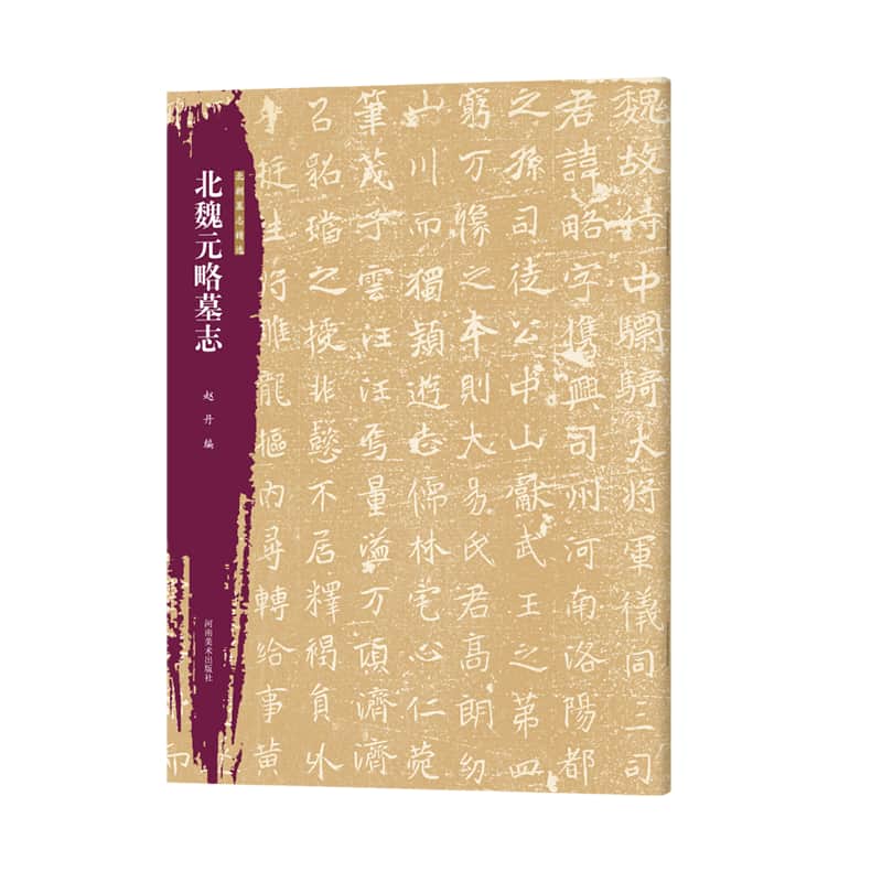 北朝墓志精选北魏元略墓志