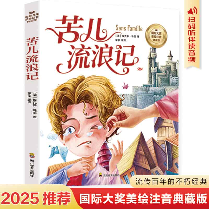 苦儿流浪记