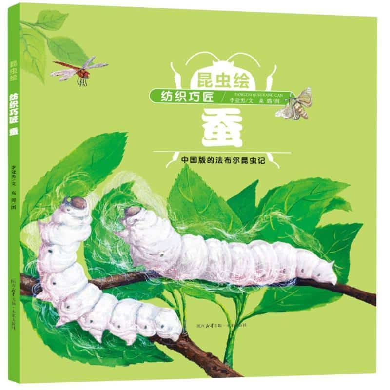 昆虫绘:纺织巧匠—蚕