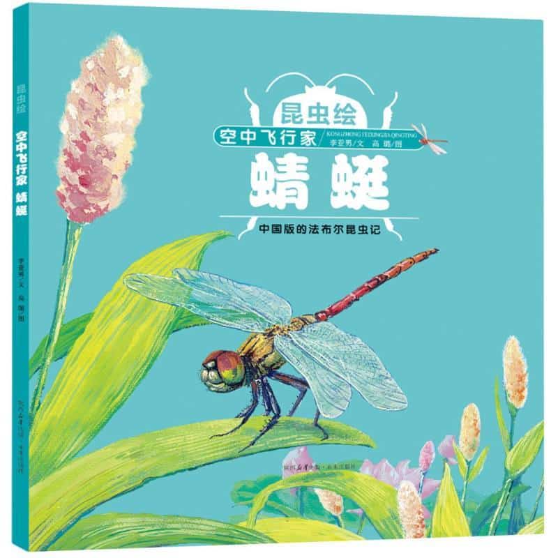 昆虫绘:空中飞行家—蜻蜓