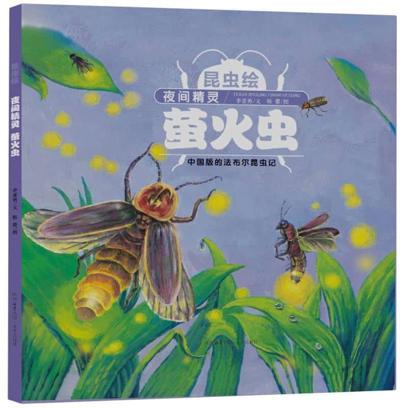 昆虫绘:夜间精灵—萤火虫