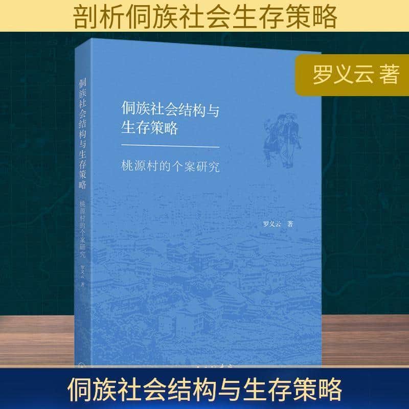 侗族社会结构与生存策略—桃源村的个案研究