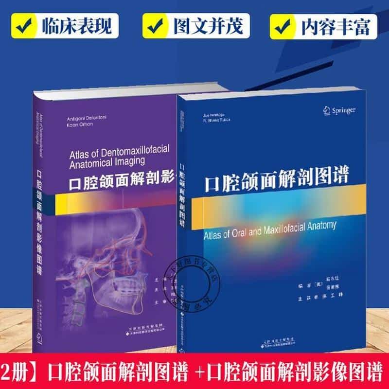 口腔颌面解剖影像图谱