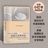 狐狸在夜晚来临