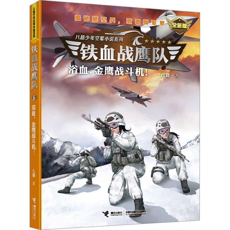 铁血战鹰队(5):浴血，金鹰战斗机！