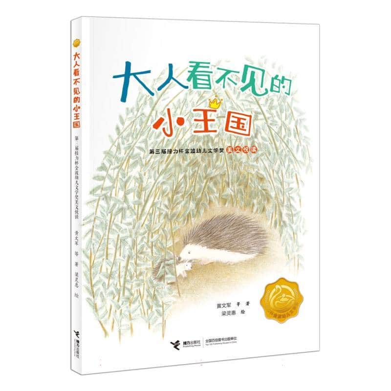 大人看不见的小王国