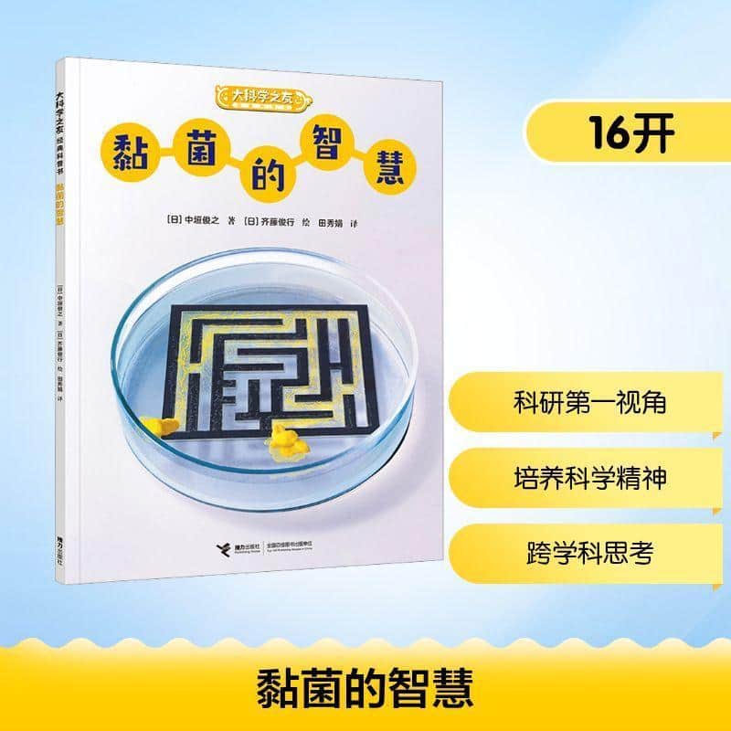 黏菌的智慧