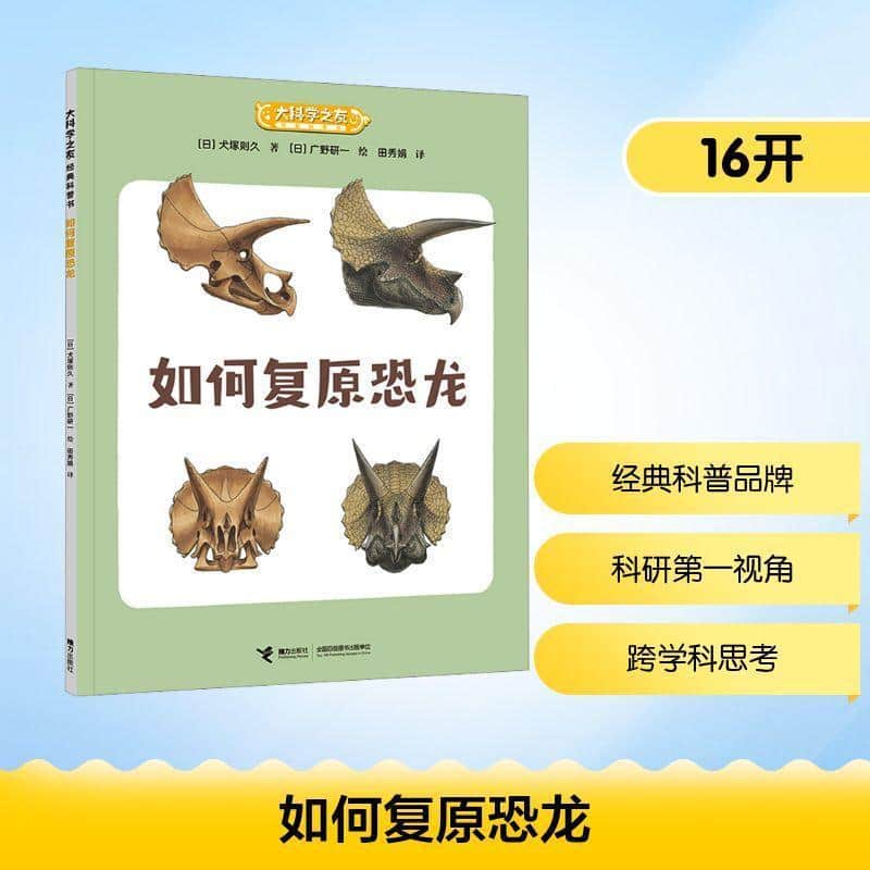 如何复原恐龙
