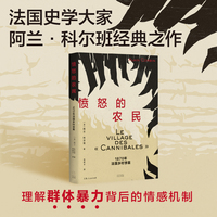 愤怒的农民—1870年法国乡村惨案