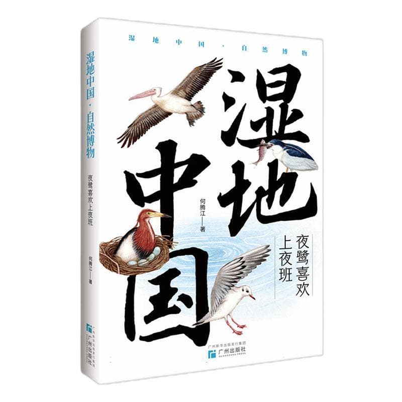 湿地中国·自然博物:夜鹭喜欢上夜班