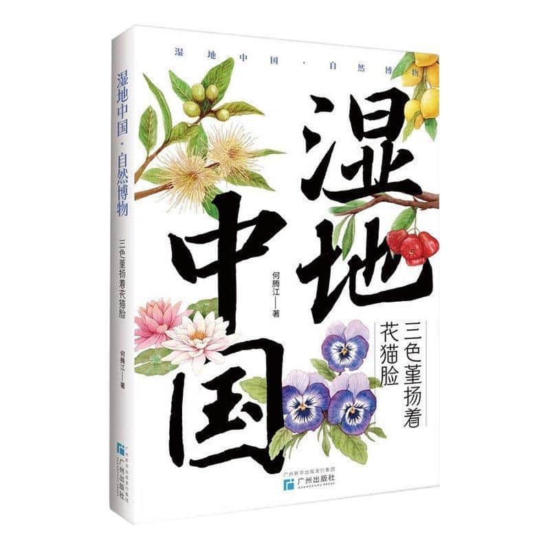 湿地中国·自然博物:三色堇扬着花猫脸