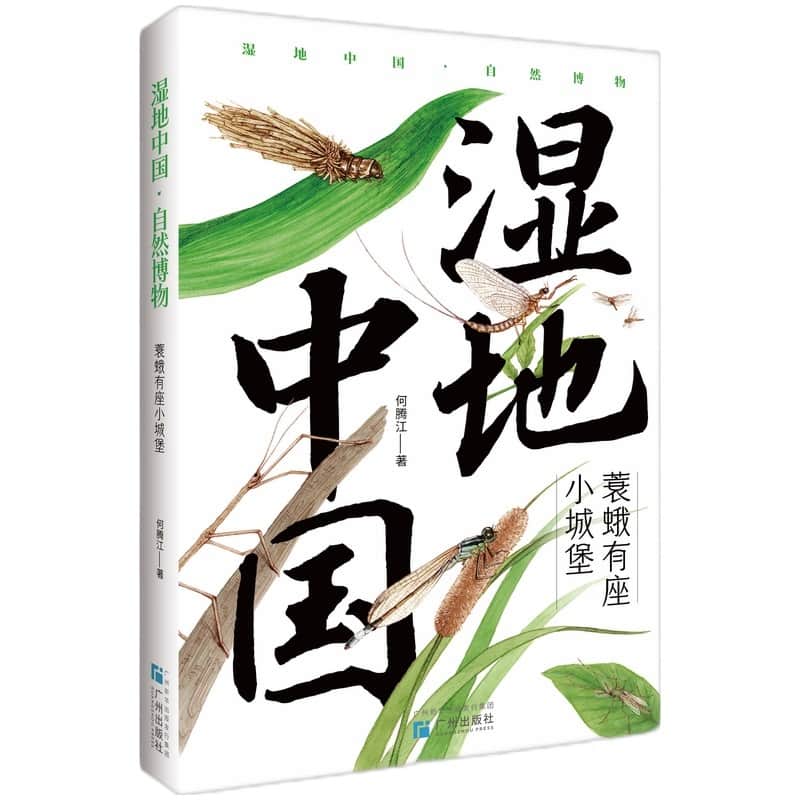 湿地中国·自然博物:蓑蛾有座小城堡
