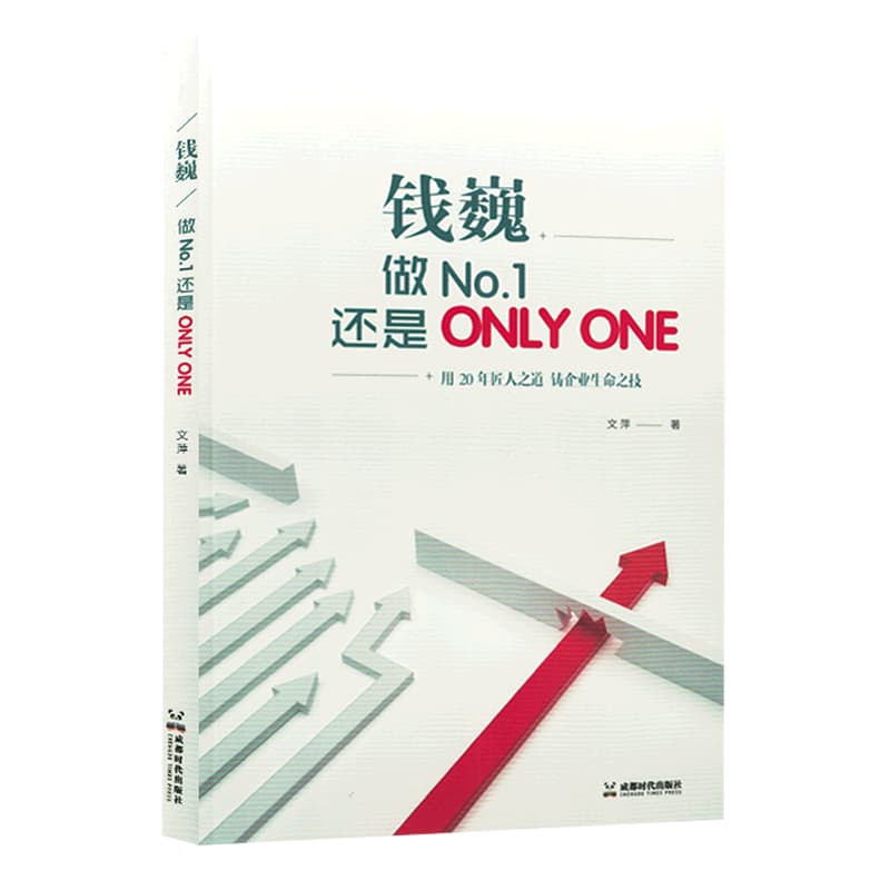钱巍—做NO. 1还是ONLY ONE—用20年匠人之道 铸企业生命之技