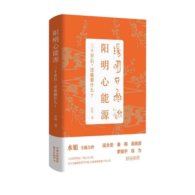 阳明心能源—三十岁后，还能做什么: