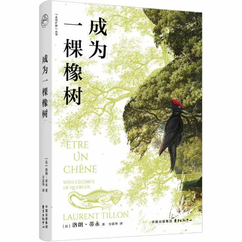 成为一棵橡树