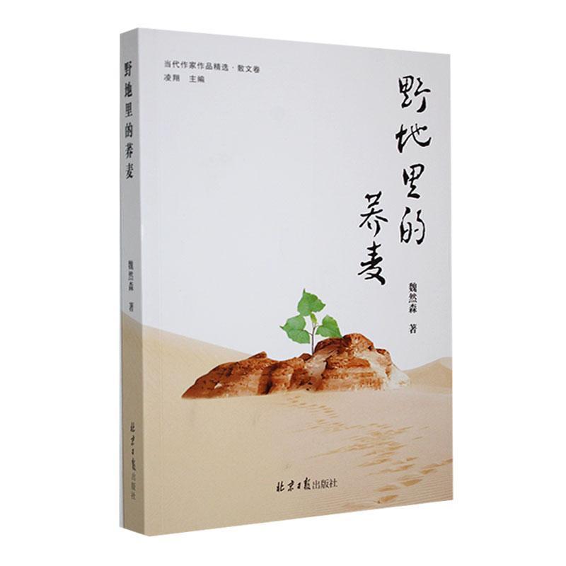 野地里的荞麦