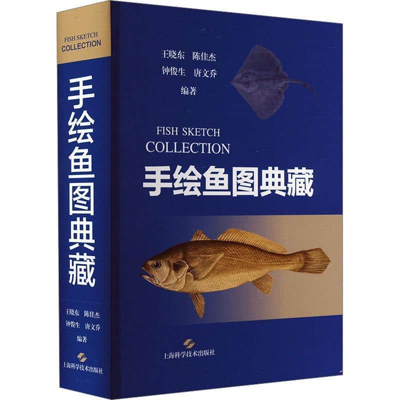 手绘鱼图典藏