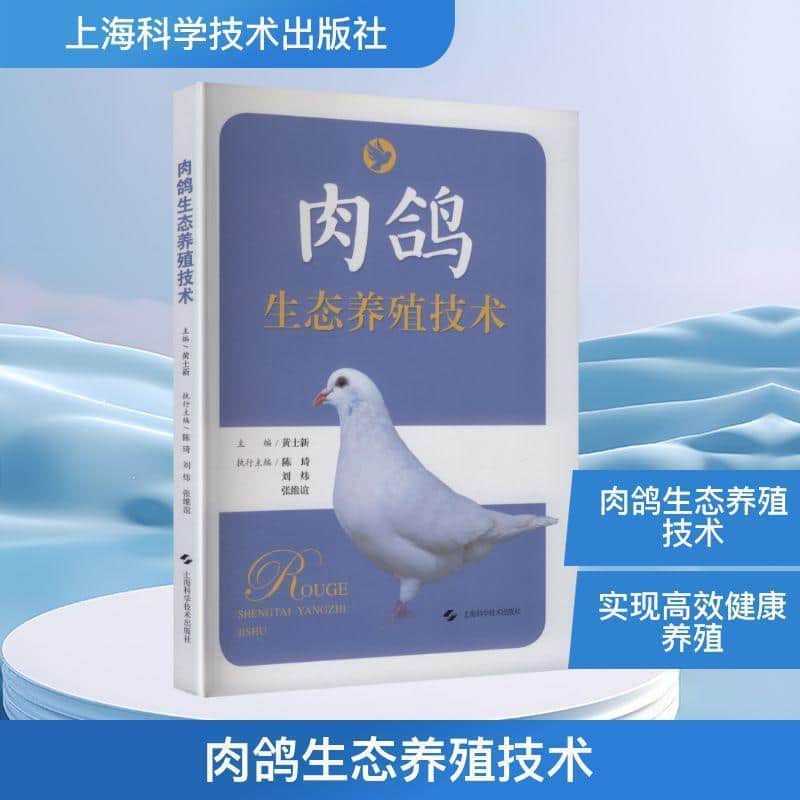 肉鸽生态养殖技术