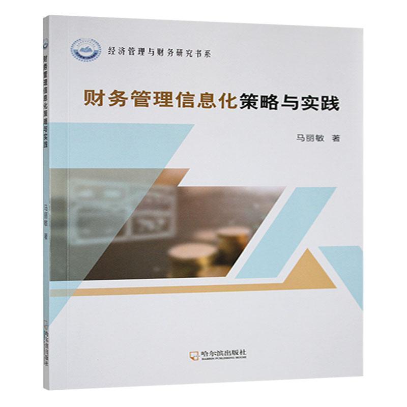 财务管理信息化策略与实践