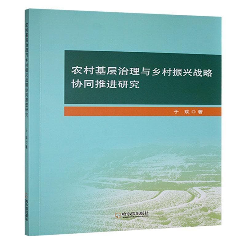 农村基层治理与乡村振兴战略协同推进研究