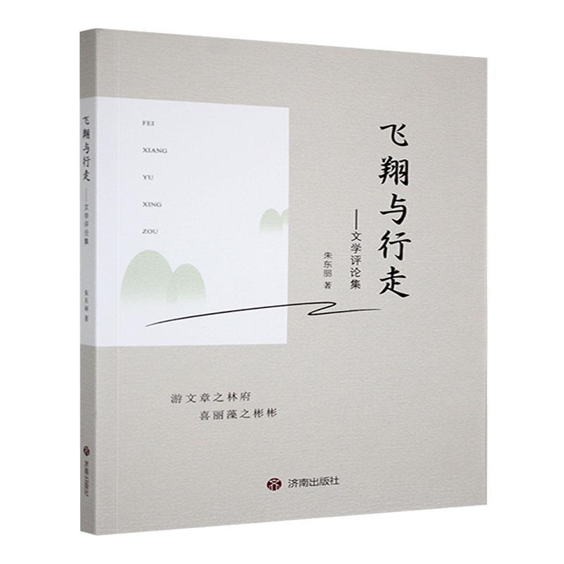 飞翔与行走—文学评论集