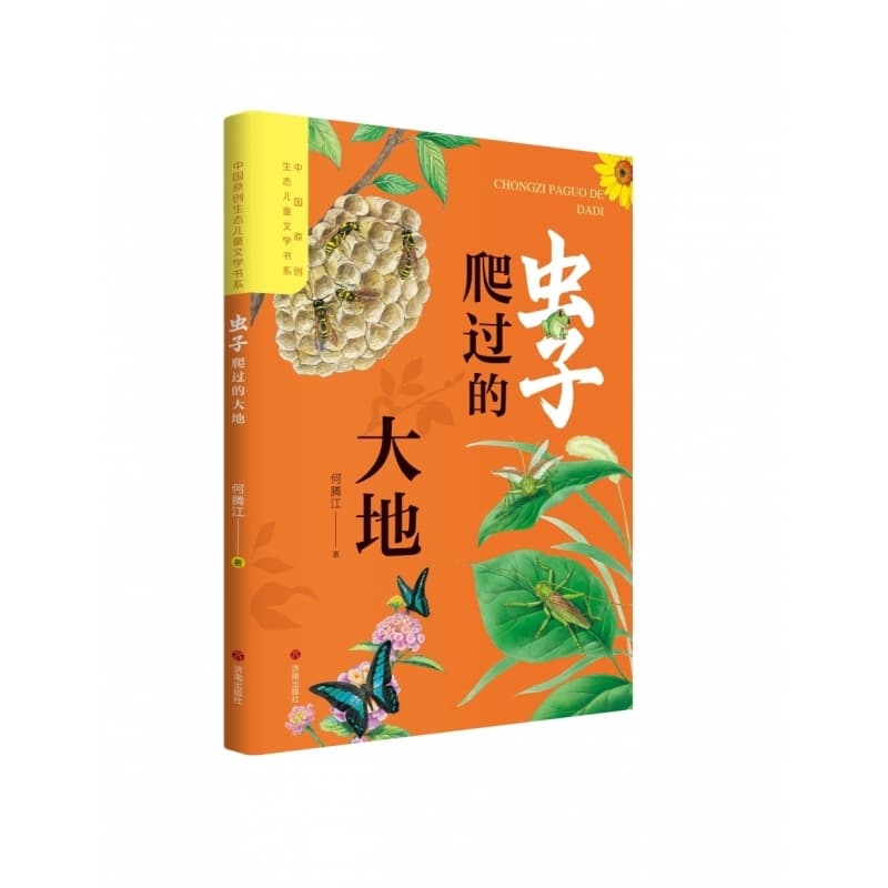 虫子爬过的大地
