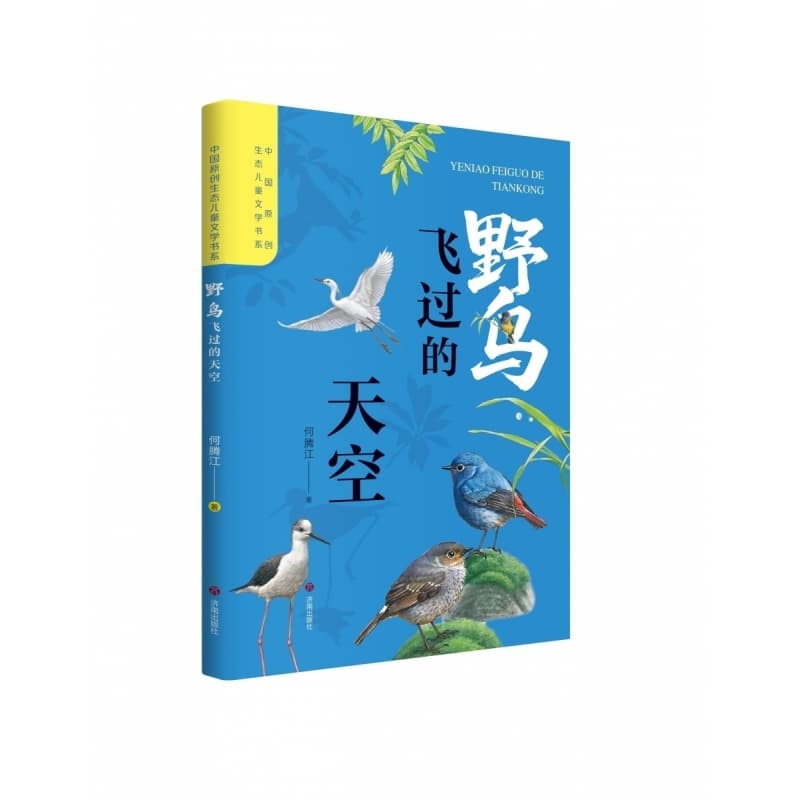野鸟飞过的天空