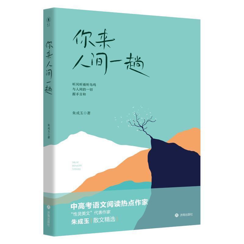 你来人间一趟