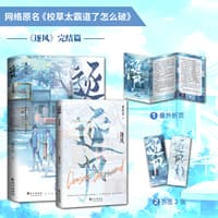 逐风—完结篇