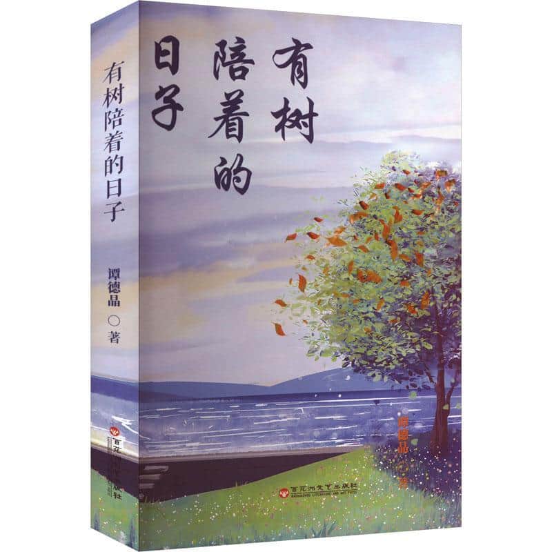 有树陪着的日子