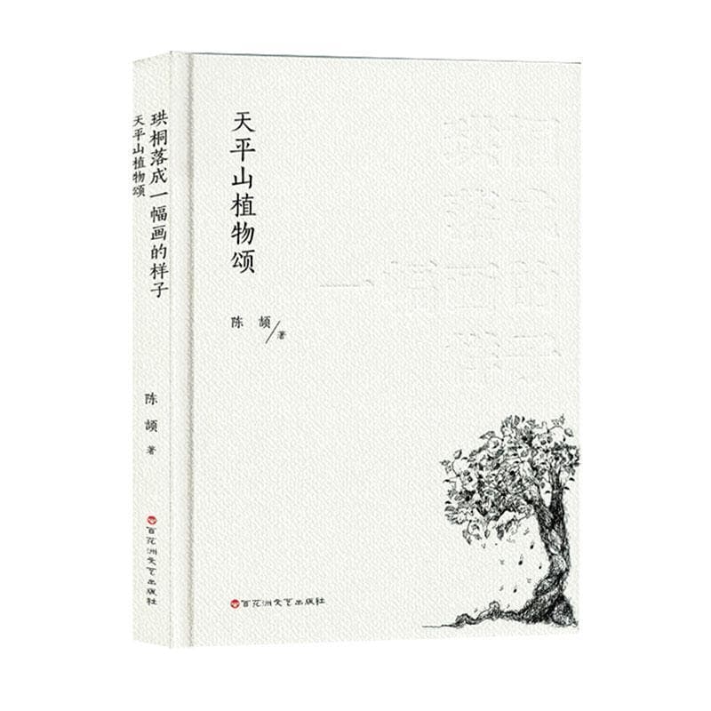 珙桐落成一幅画的样子—天平山植物颂